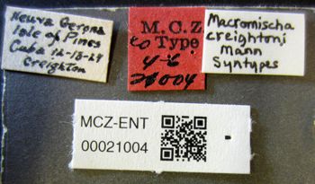 Media type: image;   Entomology 21004 Aspect: labels